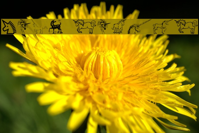 Gails Unicorn Font examples