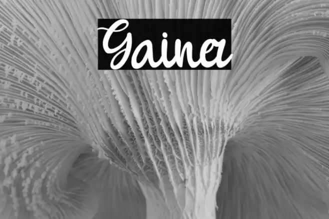 Gainer Font examples