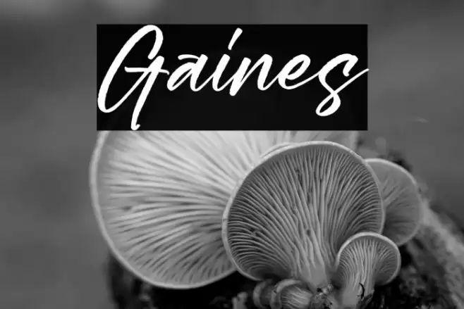 Gaines Caratteri examples