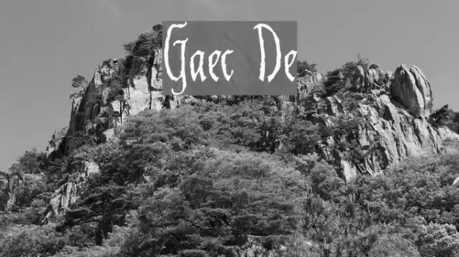 Gaiseric Demo Шрифта examples