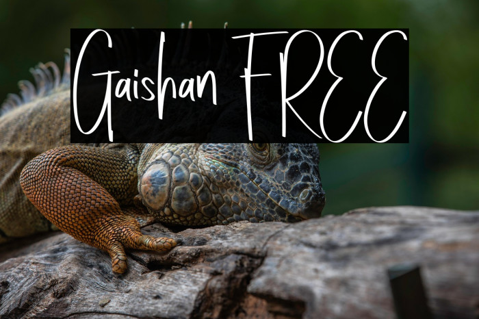 Gaishan FREE Example 3