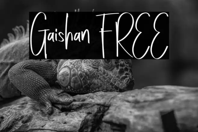 Gaishan FREE Font examples