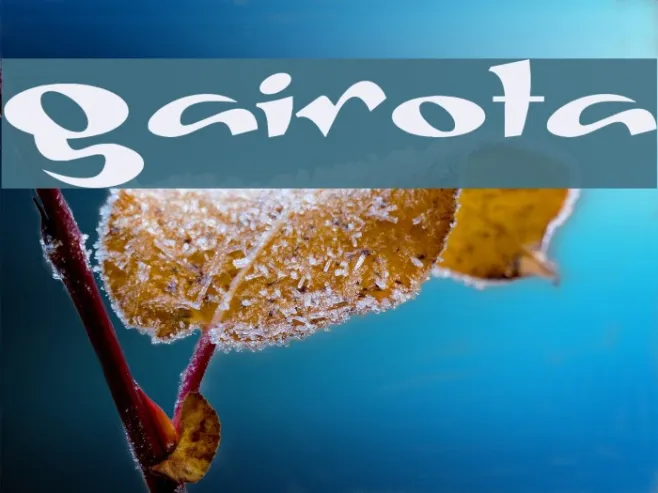 Gaivota Example 1