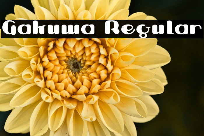 Gakuwa Regular Example 2