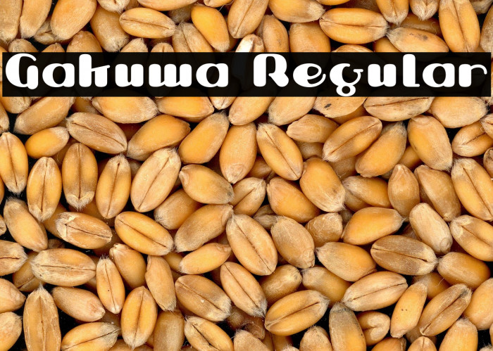 Gakuwa Regular Example 3