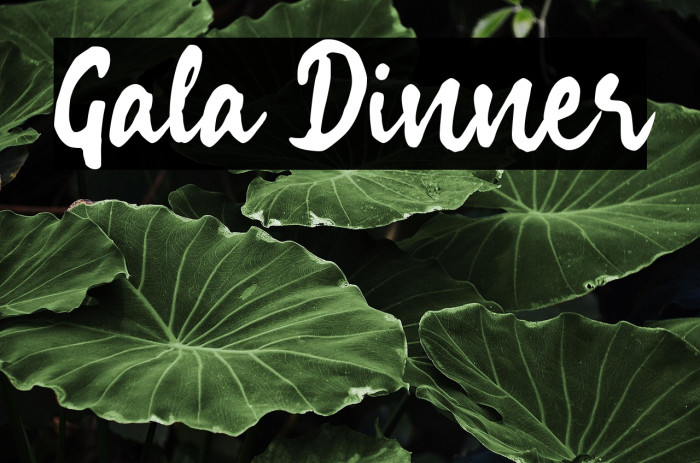 Gala Dinner Example 1