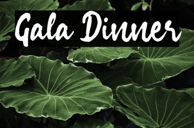 Gala Dinner Example 1