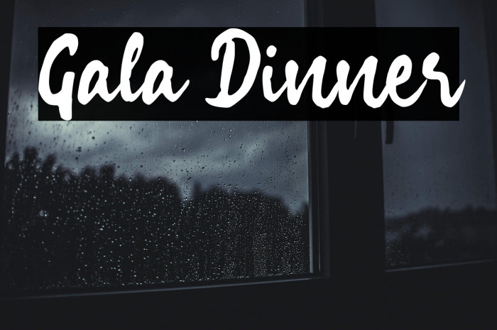 Gala Dinner Example 3