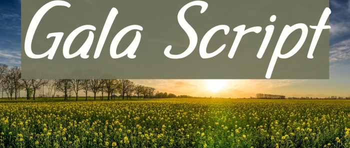Gala Script Font examples