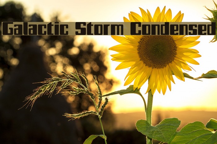 Galactic Storm Condensed Example 3