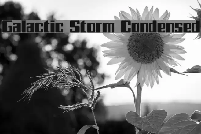 Galactic Storm Condensed Font examples