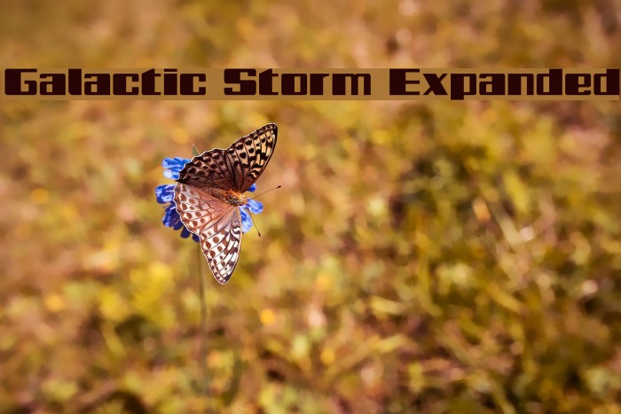 Galactic Storm Expanded Font examples