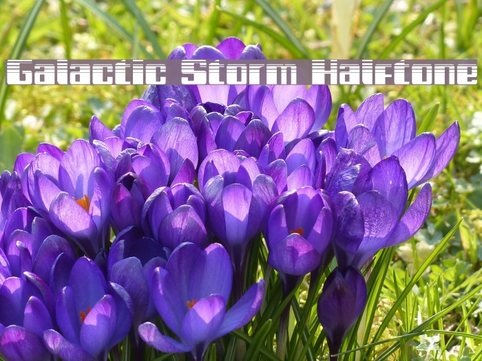 Galactic Storm Halftone Font examples