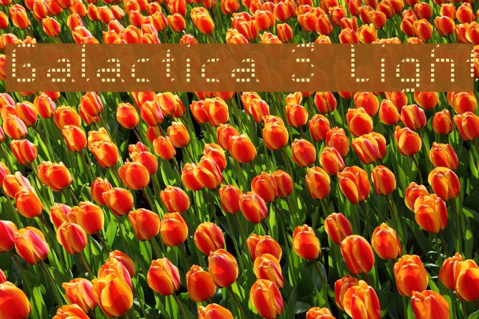 Galactica S Light Font examples