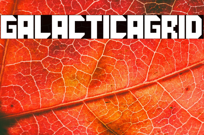 GalacticaGrid Example 1