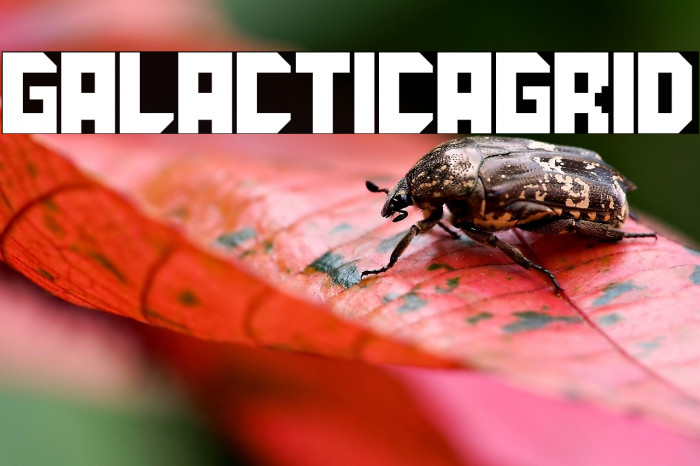 GalacticaGrid Example 2