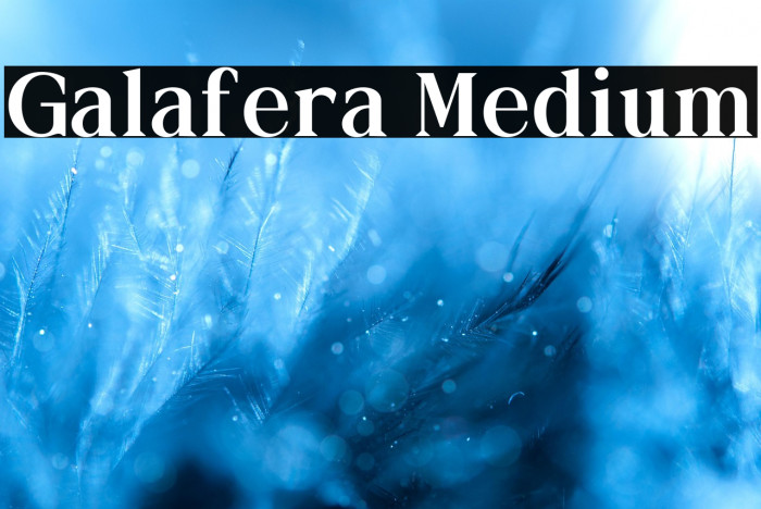 Galafera Medium Example 1
