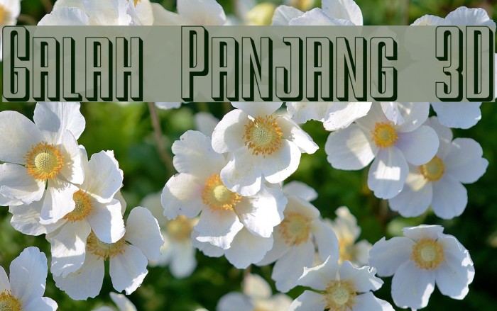 Galah Panjang 3D Font examples