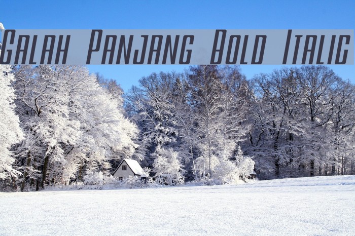 Galah Panjang Bold Italic Fonte examples