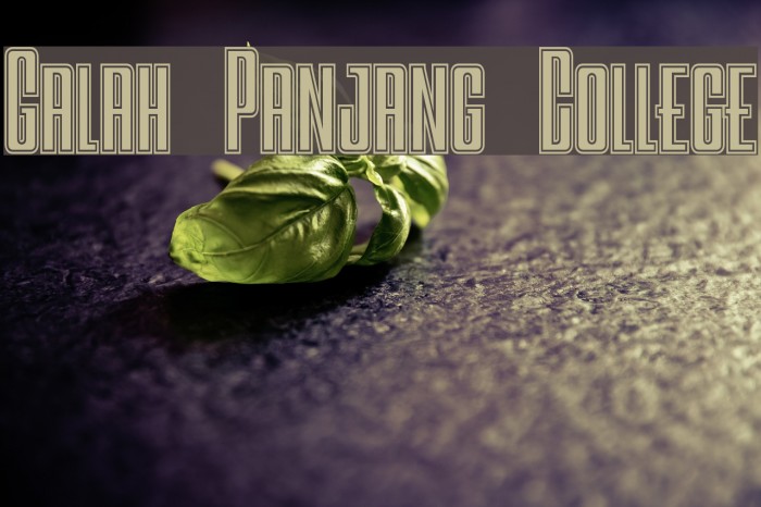 Galah Panjang College Font examples