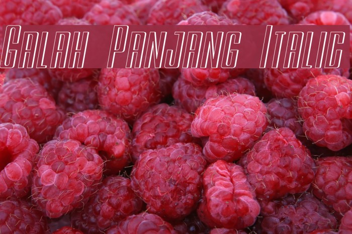 Galah Panjang Italic Font examples