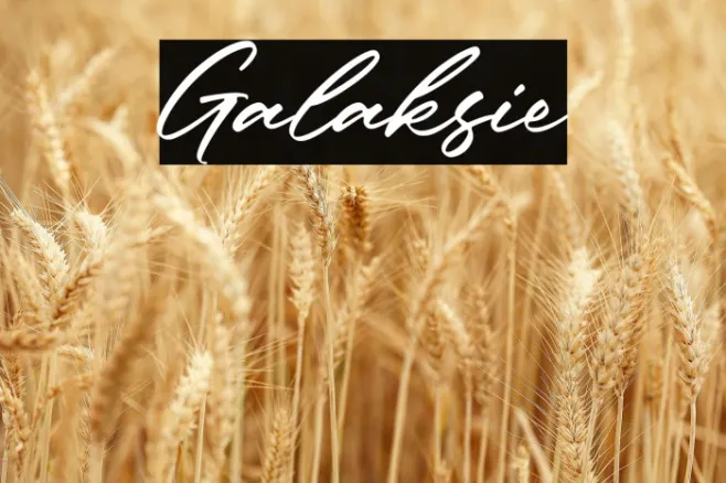 Galaksie Example 3