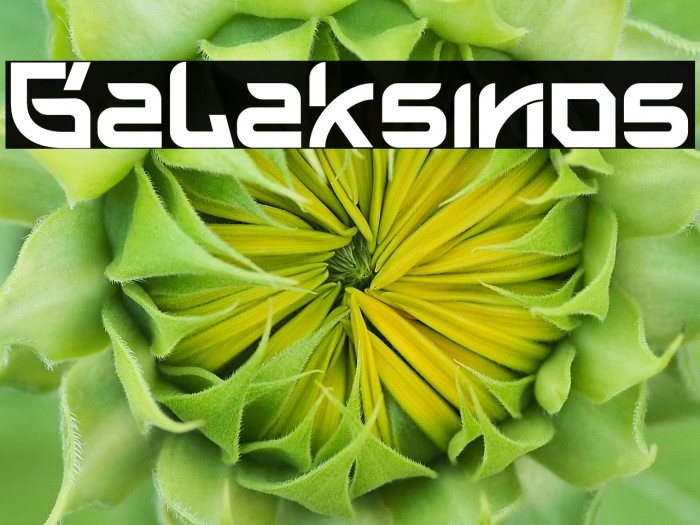 Galaksinos Example 1