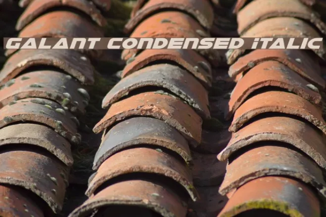 Galant Condensed Italic Example 1