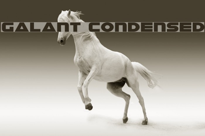 Galant Condensed Font examples