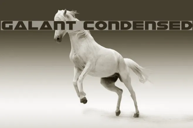 Galant Condensed Example 1