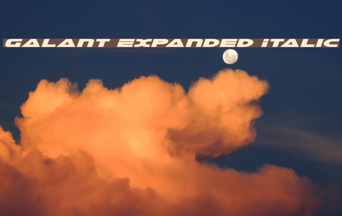 Galant Expanded Italic Font examples