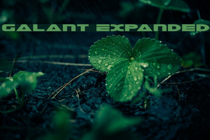 Galant Expanded Font examples