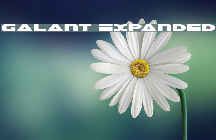 Galant Expanded Font examples