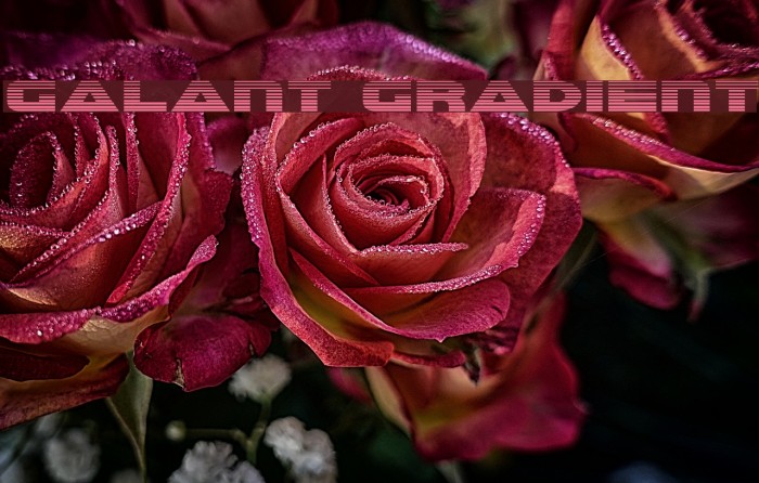 Galant Gradient Example 2