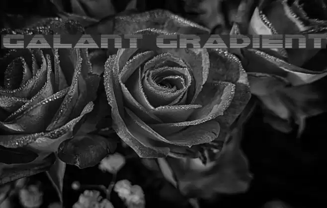 Galant Gradient Font examples