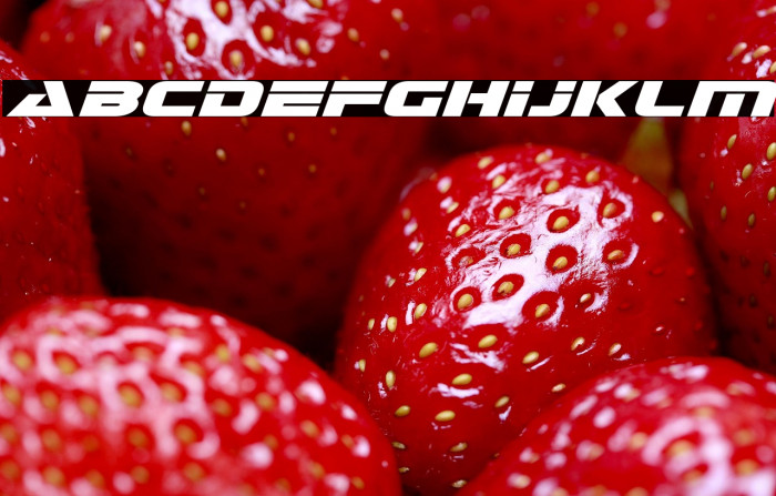 Galant Italic Example 1