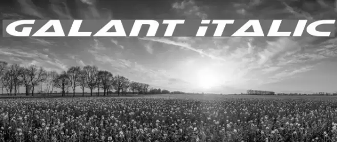 Galant Italic Font examples