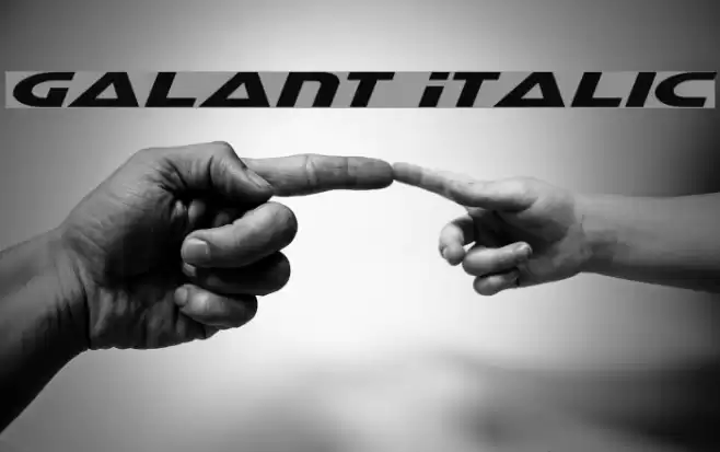 Galant Italic Font examples