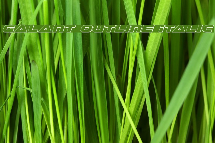 Galant Outline Italic Example 2