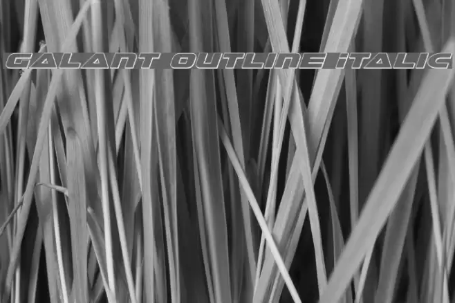 Galant Outline Italic Font examples