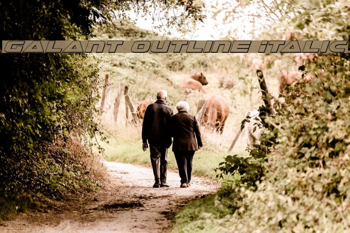 Galant Outline Italic Example 3