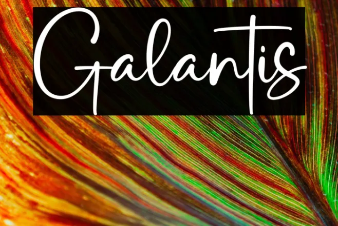 Galantis Example 1