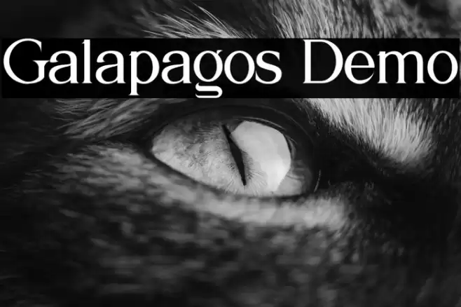 Galapagos Demo Font examples