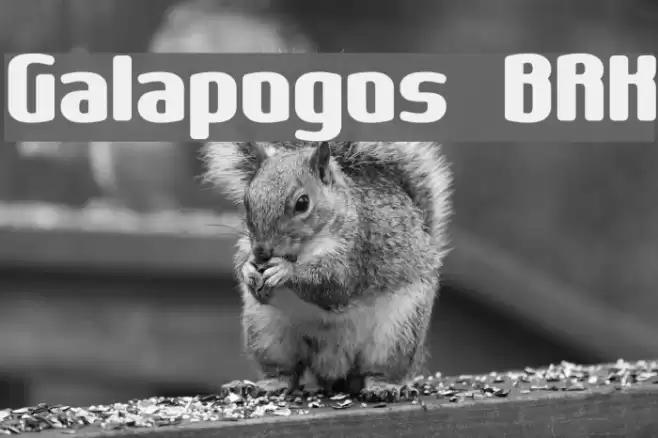 Galapogos BRK Шрифта examples