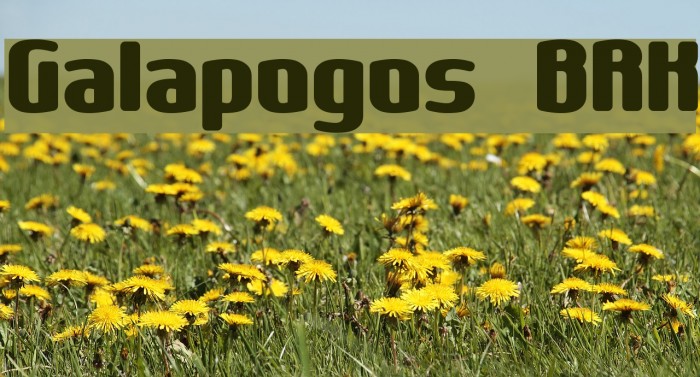 Galapogos BRK Font examples