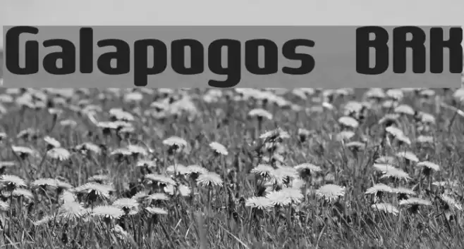 Galapogos BRK Шрифта examples