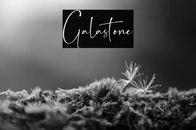 Galastone Font examples