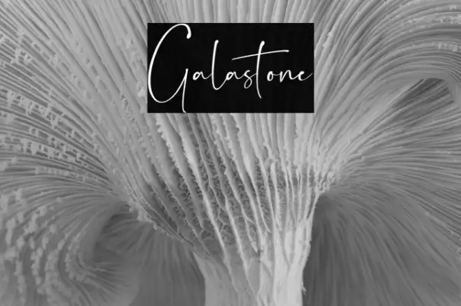 Galastone Font examples