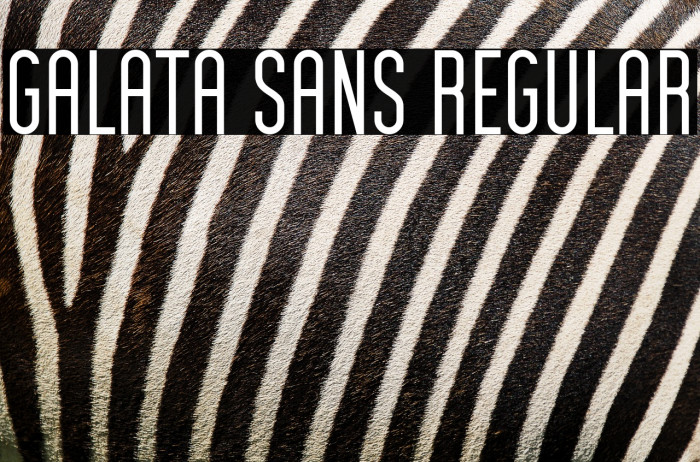 Galata Sans Regular Example 2