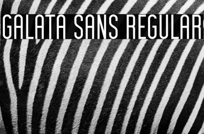 Galata Sans Regular Font examples